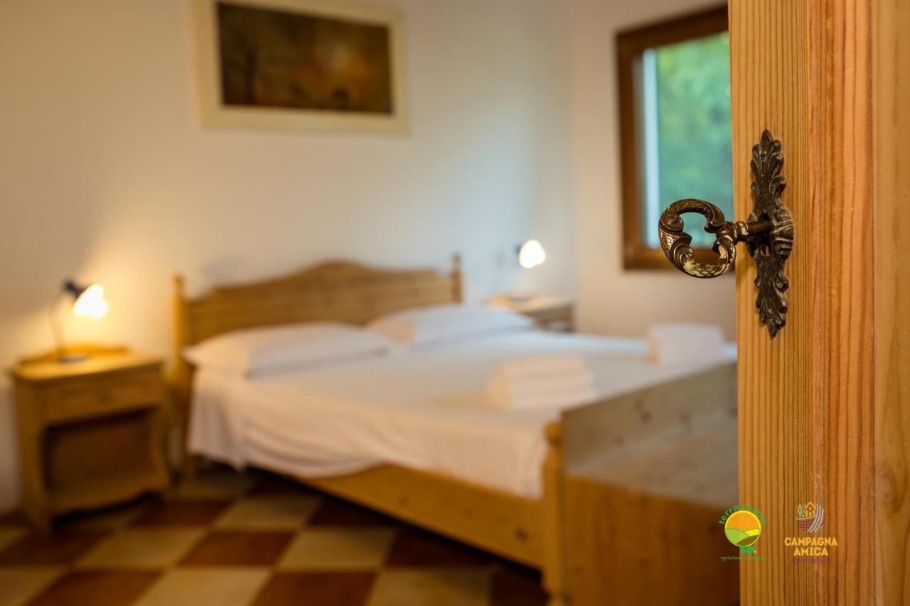Ferienwohnung La Via Antiga Cittanova  Exterior foto