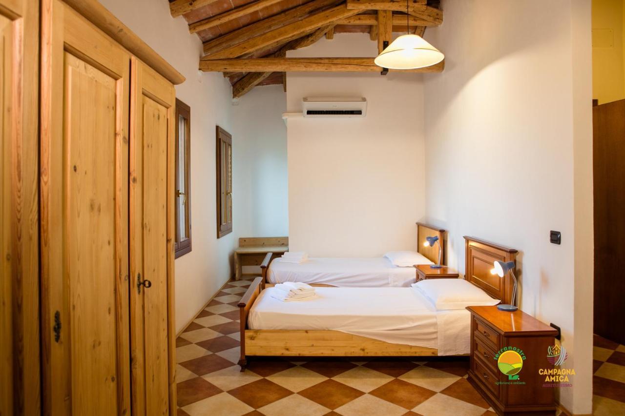 Ferienwohnung La Via Antiga Cittanova  Exterior foto