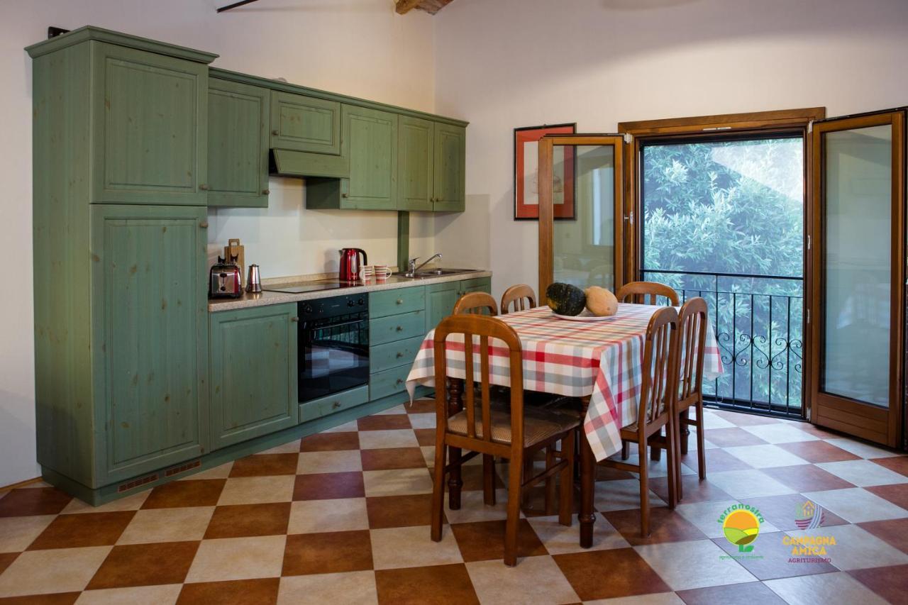Ferienwohnung La Via Antiga Cittanova  Exterior foto